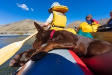 Remi rafting the Clarence River from Hanmer to Clarence, Marlborough, New Zealand.