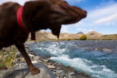 Rapids while afting the Clarence River from Hanmer to Clarence, Marlborough, New Zealand.