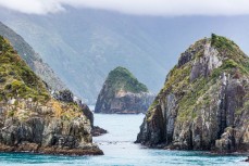Sentries standing guard over the Marlborough Sounds, New Zealand.