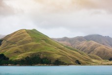 Sentries standing guard over the Marlborough Sounds, New Zealand.