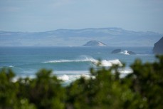 Testing waves through the trees during a new swell at St Kilda, Dunedin, New Zealand.