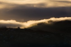 Fog rolling up the Otago Harbour in the early winter morning, Dunedin, New Zealand.
