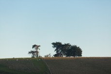 Last light on farmland in the south coast of Dunedin, New Zealand.