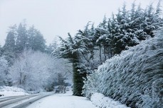 Rewa, Keo and Remi play in snow in the western suburbs of Dunedin, New Zealand.