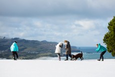 Snowball fight on a snow day at St Clair, Dunedin, New Zealand.