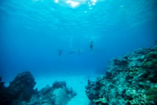 Kaya Horne, Jonas Tawharu, Elliott Brown and Caleb Cutmore test their lung capacity during the 2017 Fiji Launch Pad event held In the Mamanuca Islands, Fiji.