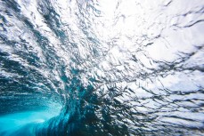 Underwater at Desperations during the 2017 Fiji Launch Pad event held In the Mamanuca Islands, Fiji.