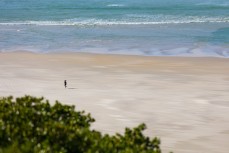 A runner enjoys spring conditions at Smaills Beach, Dunedin, New Zealand.