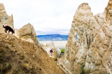 Clay cliffs near Omarama Central Otago, New Zealand.