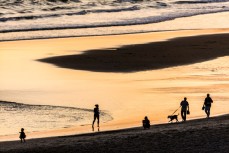 Sunset rush hour at St Kilda Beach, Dunedin, New Zealand. 