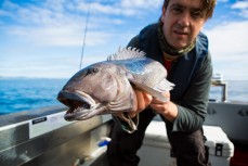 Brent Russell with a blue cod caught during a fishing trip to the canyon off the coast of Dunedin, New Zealand.