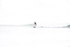 Odile Smits enjoys fun summer waves at Bethells Beach, Auckland, New Zealand.