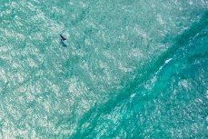 Aerial shots of the Dunedin coastline, surfer near Brighton, Dunedin, New Zealand.