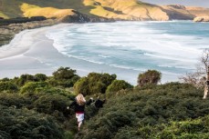 Tourists visit a remote beach on Otago Peninsula, Dunedin, New Zealand.Credit: www.boxoflight.com/Derek Morrison