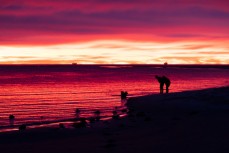 Damien and Ash van Brandenburg watch the sunrise at Doctor's Point, Dunedin, New Zealand.