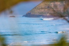 Small winter peaks through the trees at St Clair Beach, Dunedin, New Zealand. 