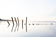 Morning light bathes the poles at St Clair Beach, Dunedin, New Zealand. 