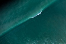 A peak feathers at Waikuku Beach, Canterbury, New Zealand.