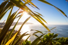 South coast bathed in morning light, St Clair, Dunedin, New Zealand.
Credit: www.boxoflight.com/Derek Morrison