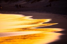 Gold plated sand in the afternoon light at St Kilda, Dunedin, New Zealand.
Credit: www.boxoflight.com/Derek Morrison