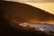 A surfer rides into Whale Bay on sunset  at Raglan, Waikato, New Zealand.