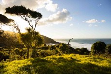 Summer swell at Raglan, Waikato, New Zealand.
Credit: www.boxoflight.com/Derek Morrison