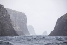 The Snares doused by rain during a Heritage Expeditions voyage to the Sub-Antarctic Islands, New Zealand.