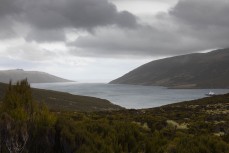 View into Perseverance Harbour from Lyall Col on Campbell Island during a Heritage Expeditions voyage to the Sub-Antarctic Islands, New Zealand.