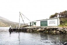 Beeman Point boat ramp on Campbell Island during a Heritage Expeditions voyage to the Sub-Antarctic Islands, New Zealand.