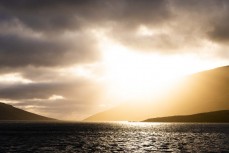 Dawn light on Perseverance Harbour on Campbell Island during a Heritage Expeditions voyage to the Sub-Antarctic Islands, New Zealand.