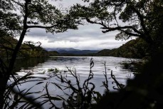 Lake Kirirua on Anchor Island is the home of a kakapo recovery programme. Murky morning during a Heritage Expeditions voyage to Dusky Sound in Fiordland, New Zealand.
