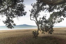 Dusk at Takapuna Beach, Takapuna, Auckland, New Zealand.