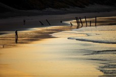 Sunrise in autumn at St Clair, Dunedin, New Zealand.Credit: www.boxoflight.com/Derek Morrison