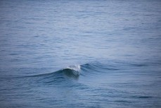 Clean peaks at Blackhead, Dunedin, New Zealand.Credit: www.boxoflight.com/Derek Morrison