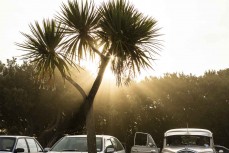 Arvo sunshine at St Clair, Dunedin, New Zealand.
Credit: www.boxoflight.com/Derek Morrison