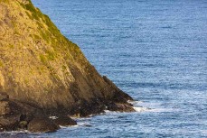 Foot of the gravel pit, Blackhead,  Dunedin, New Zealand. 