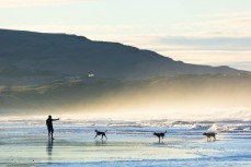 Morning walk at St Clair, Dunedin, New Zealand. 