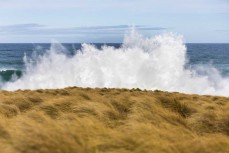 A big southeast swell hits the beaches of the Otago Peninsula, Dunedin, New Zealand.