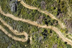 Firball Trail in Codgers MTB Park, Nelson, Tasman, New Zealand.