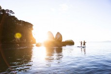 Paddleboarders explore Abel Tasman National Park on a stunning day on the water, Tasman, New Zealand.