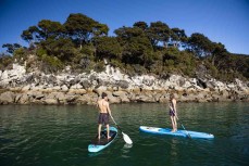 Mischa and Mitch explore Abel Tasman National Park on a stunning day on the water, Tasman, New Zealand.
