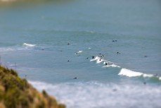 Party wave at Ngarunui at Raglan, Waikato, New Zealand.