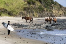 at Shipwreck Bay near Ahipara, Northland, New Zealand.