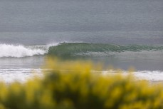 Small glassy wave at Aramoana, Dunedin, New Zealand.