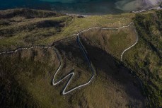 A walking track on the Mahia Peninsula near Gisborne, Eastland, New Zealand.