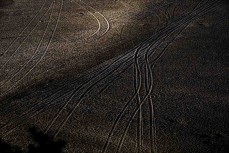 Tracks in the sand at Piha, Auckland, New Zealand.
