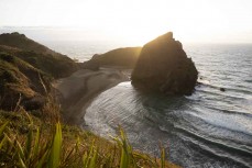 The Cove at Piha, Auckland, New Zealand.