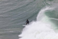 Joe Dirt finding the best nuggets during a fun swell at a beach on the North Coast, Dunedin, New Zealand.Credit: www.boxoflight.com/Derek Morrison