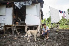 Local child with pet dog near Boulders, Samoa. 