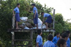 Local school kids collect the rubbish at Salani, Samoa. 